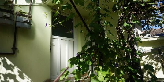CASA individuala+ TEREN Turnisor Bielz