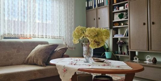 CASA individuala 4 camere 2 bucatarii/ pivnita/ anexe Terezian